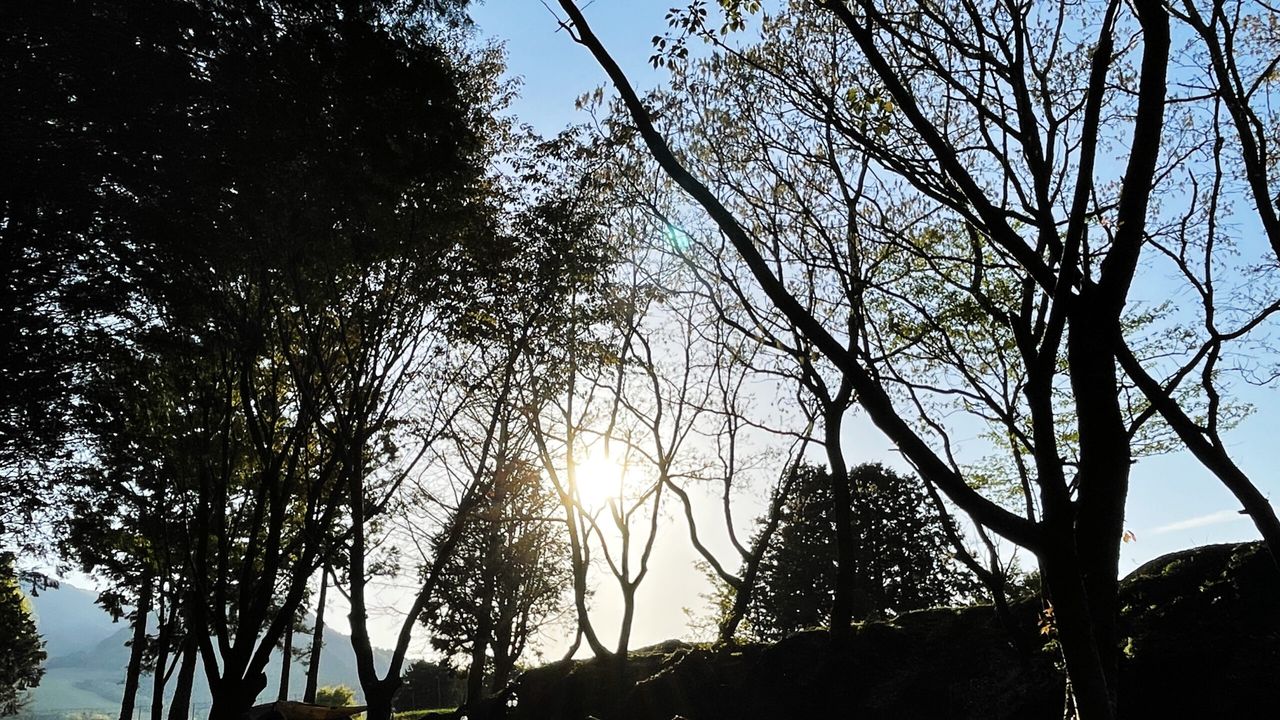 九州 キャンプ場の風景